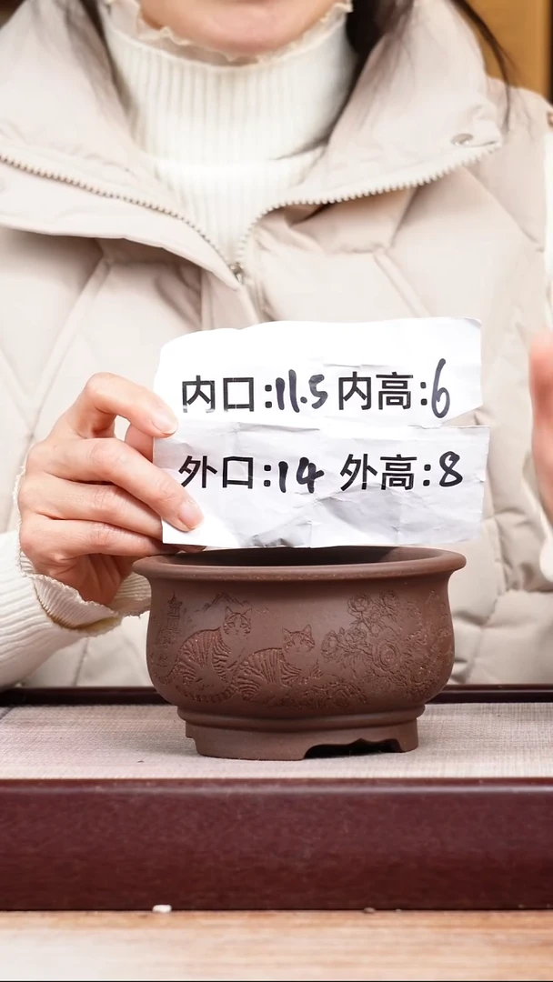紫砂花盆紫泥刻绘猫咪迷你矮圆盆一只无托