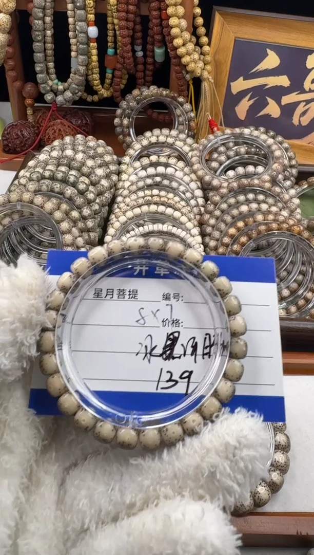 手串星月菩提孤**?星月菩提河豚