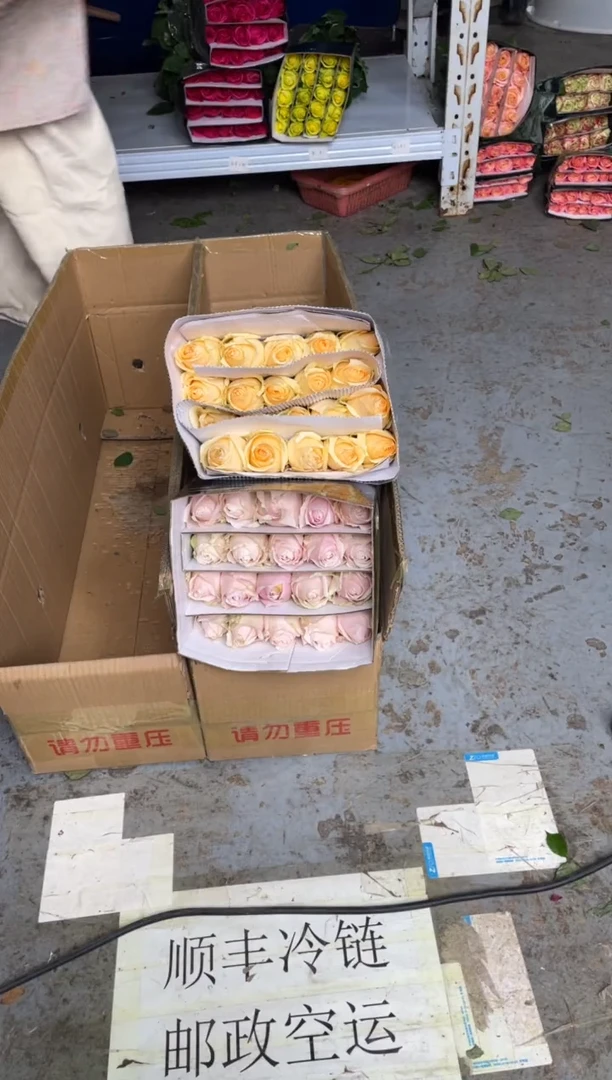 粉红2扎+香槟1扎