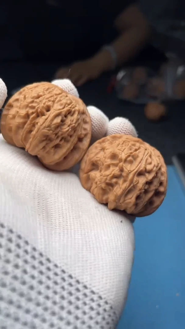 桃核把件a179  白狮子 43尺