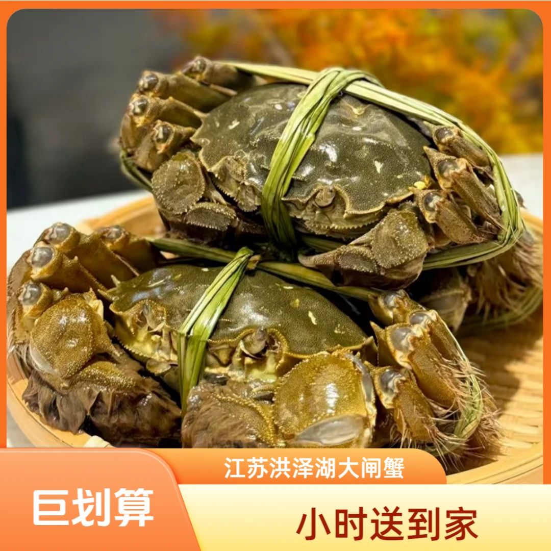 【活蟹】江苏精品大闸蟹 1.7两公蟹 1.5-1.7两6只 送吃蟹4件套小时达同城配送
