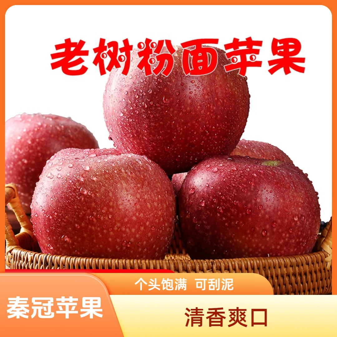 陕西新鲜秦冠粉面沙甜老人小孩刮泥水果辅食2/5/9斤粉面沙甜苹果