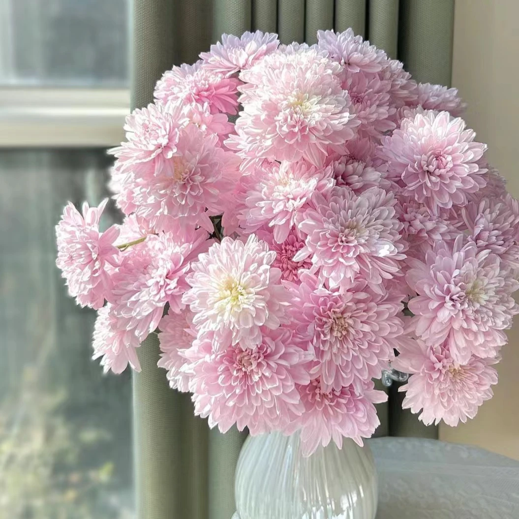 【顺丰发货】 奢香夫人雏菊鲜花1-4单一个运费自选品种