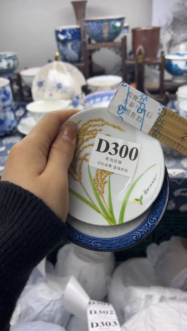 瓷片知***?   D300