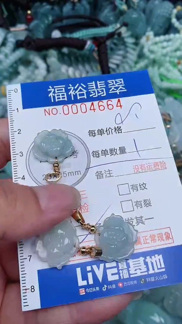 颈饰未镶嵌翡翠...0004664多样性发其一