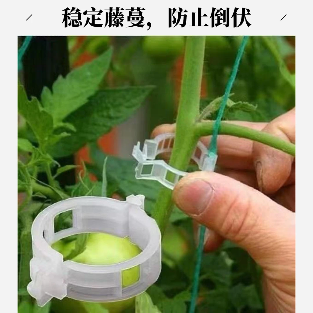 植物藤蔓固定器防倒伏卡扣设计到手100个可循环使用