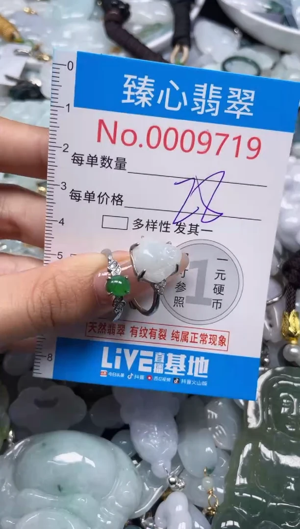 颈饰未镶嵌翡翠9719