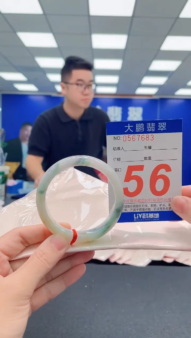 未镶嵌手镯翡翠AAAAAAAAA