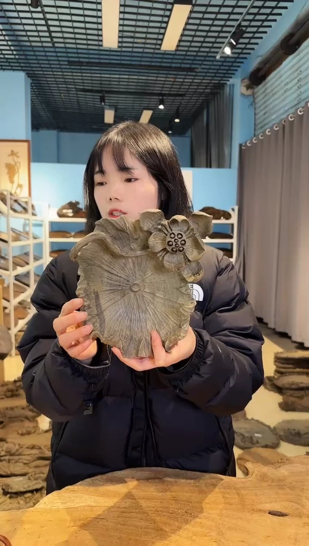 木141号乌木金丝楠果盘