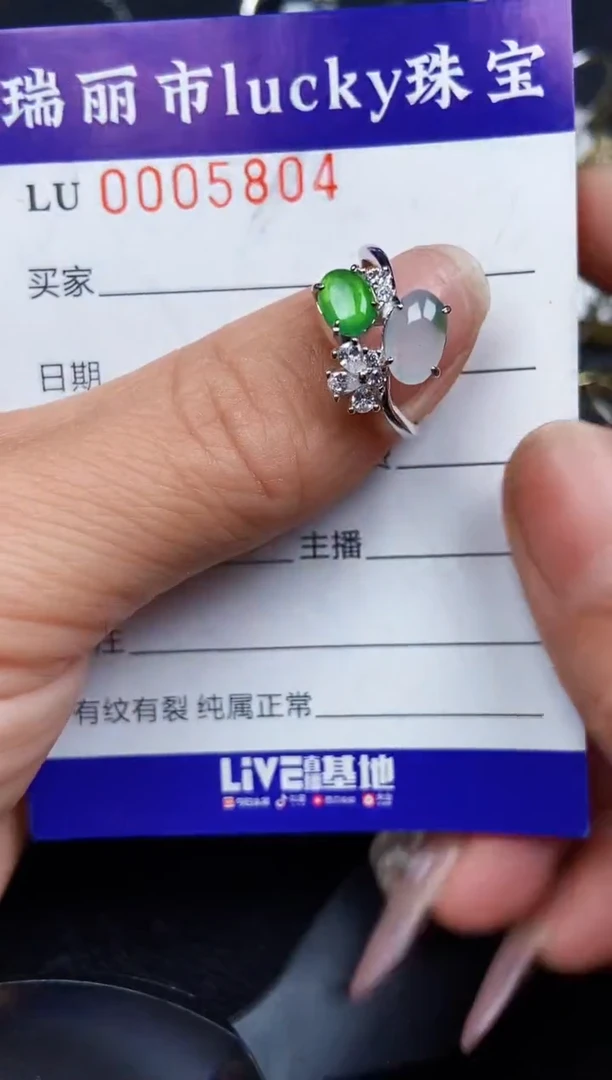 翡翠银S925镶嵌颈饰5804