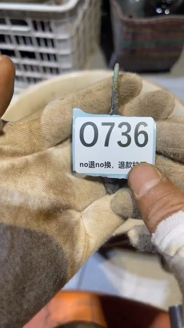 陶瓷甘**偿跳跳火爆火爆热卖热卖