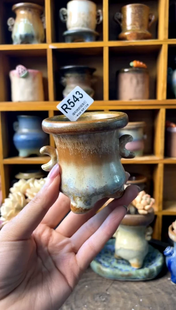 543内口5【多肉花盆多肉盆】