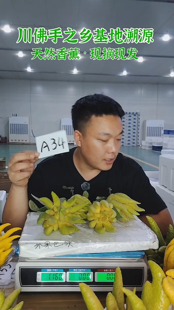 柑橘【一物一拍】川佛手柑鲜果A34