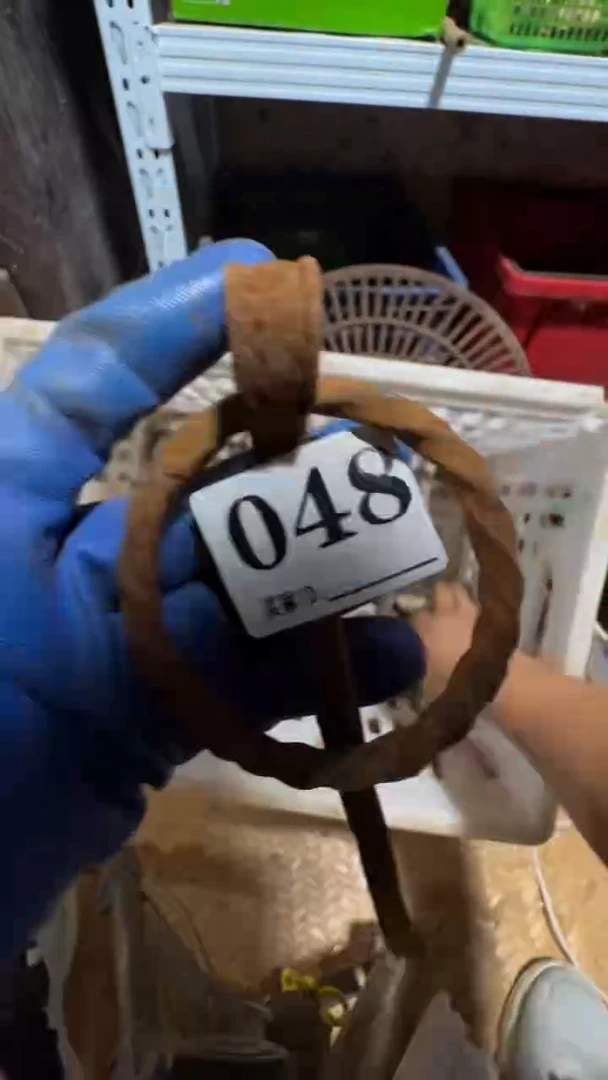 用****80818老王直播间专属链接