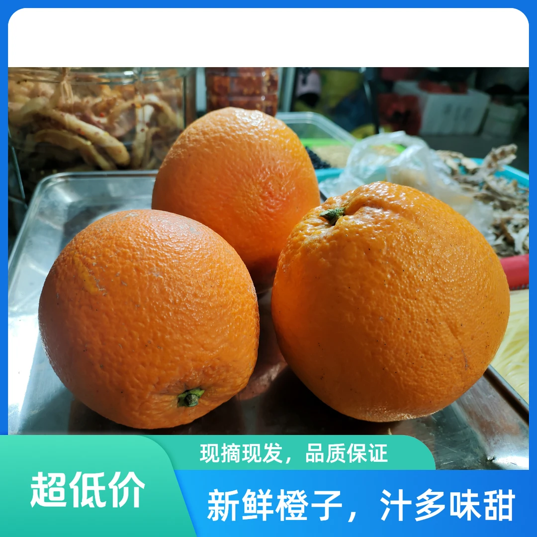 资源高山橙子酸甜可口