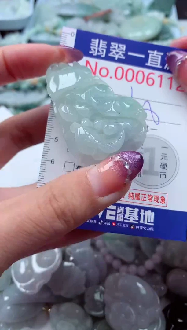 翡翠未镶嵌吊坠(不含链)6112