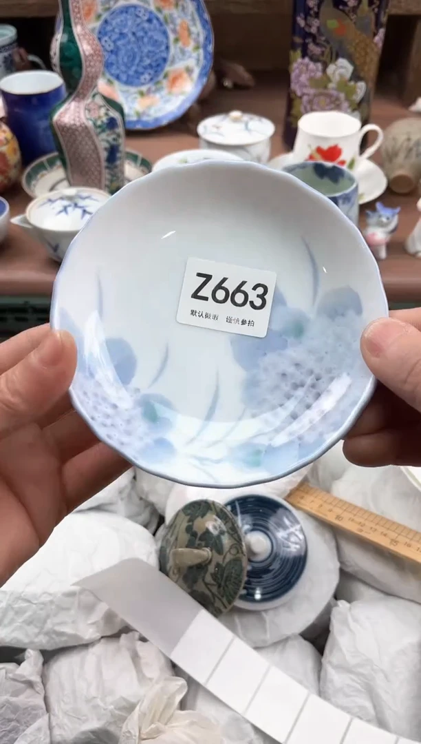 【闪购商品】瓷片663