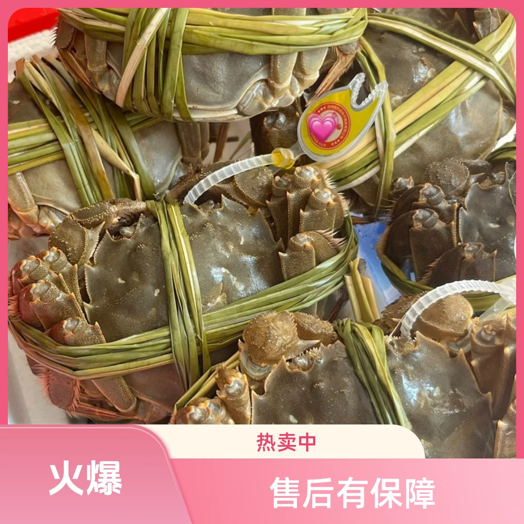 108鲜活20只1两母（单只约1.2-1.5两）