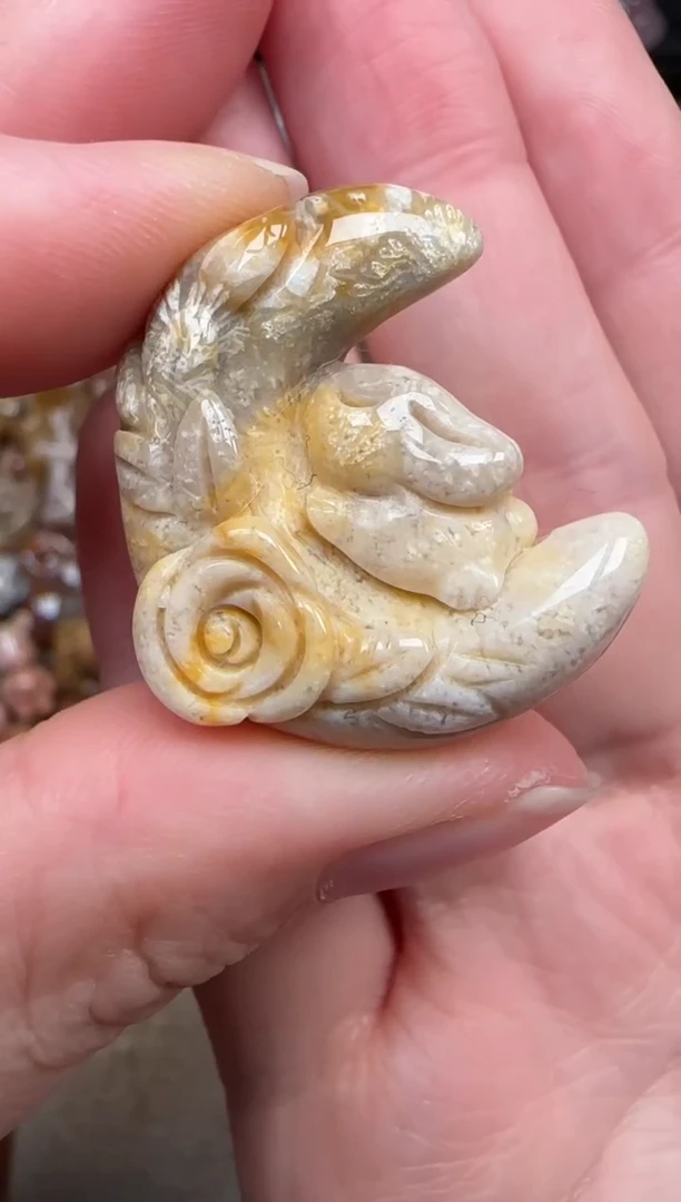 颈饰未镶嵌硅化珊瑚（珊瑚玉）246