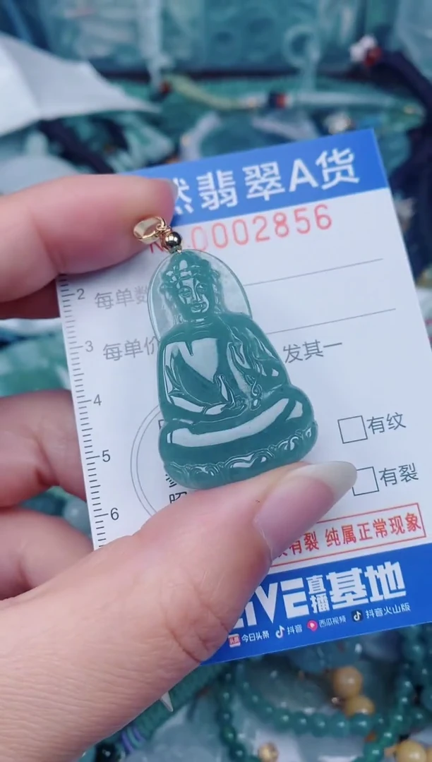 颈饰未镶嵌翡翠00002856