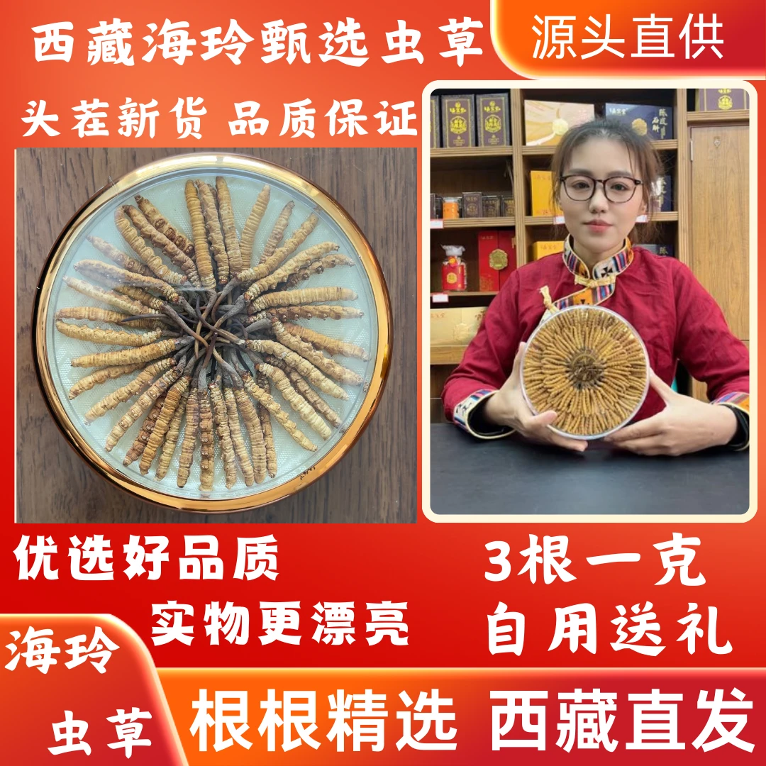 冬虫夏草3根一克虫草 中大规格 西藏源头直发 自用经济实惠