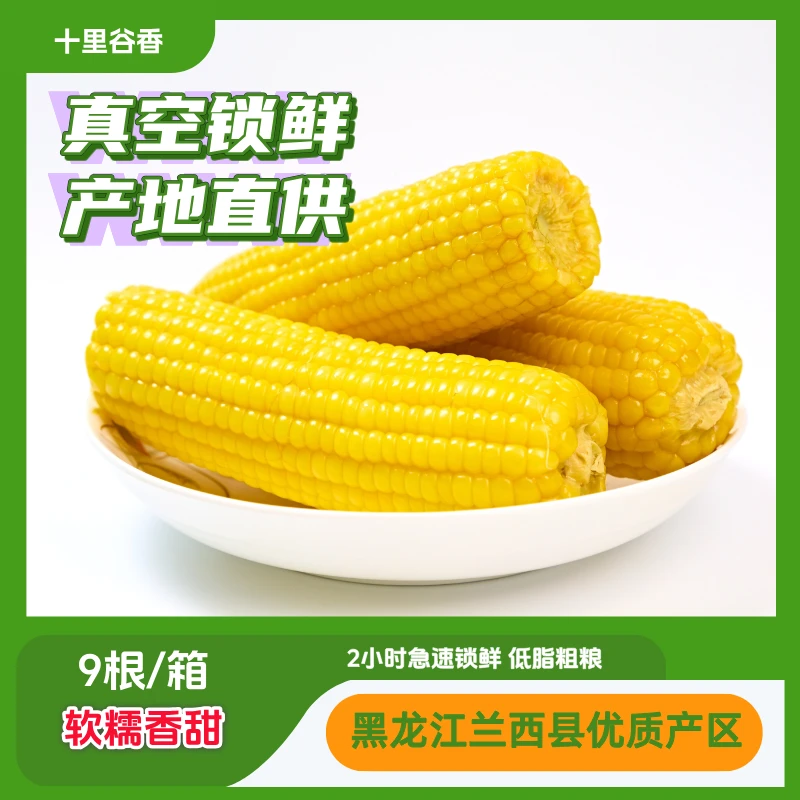 【产地直供】真空锁鲜东北黄糯玉米大棒粘糯低脂代餐营养