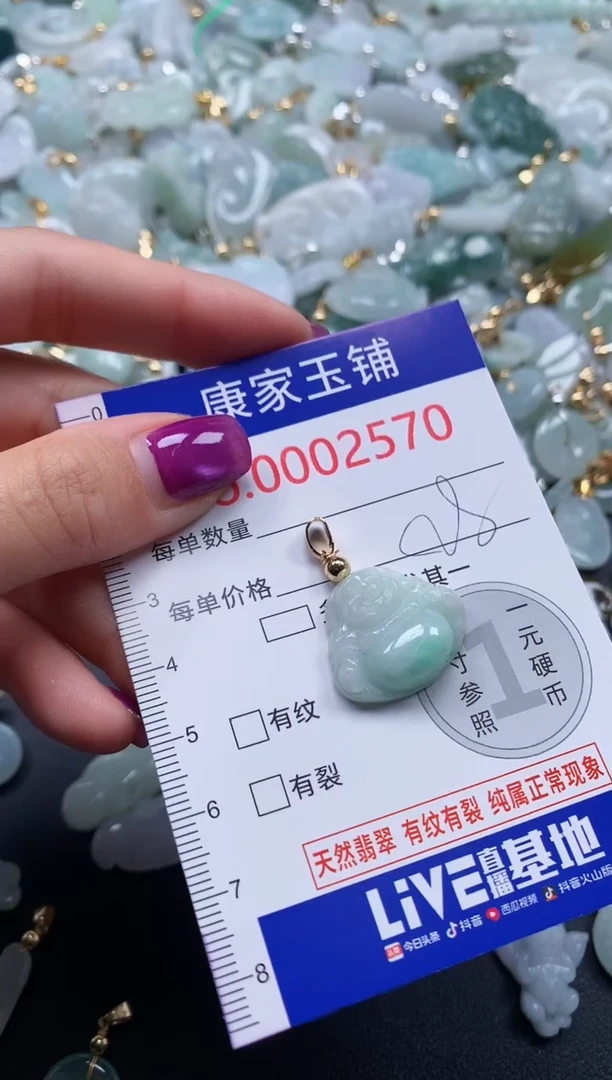 颈饰未镶嵌翡翠2570
