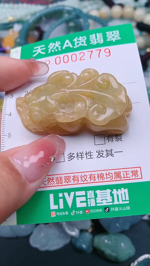 颈饰未镶嵌翡翠.0002779