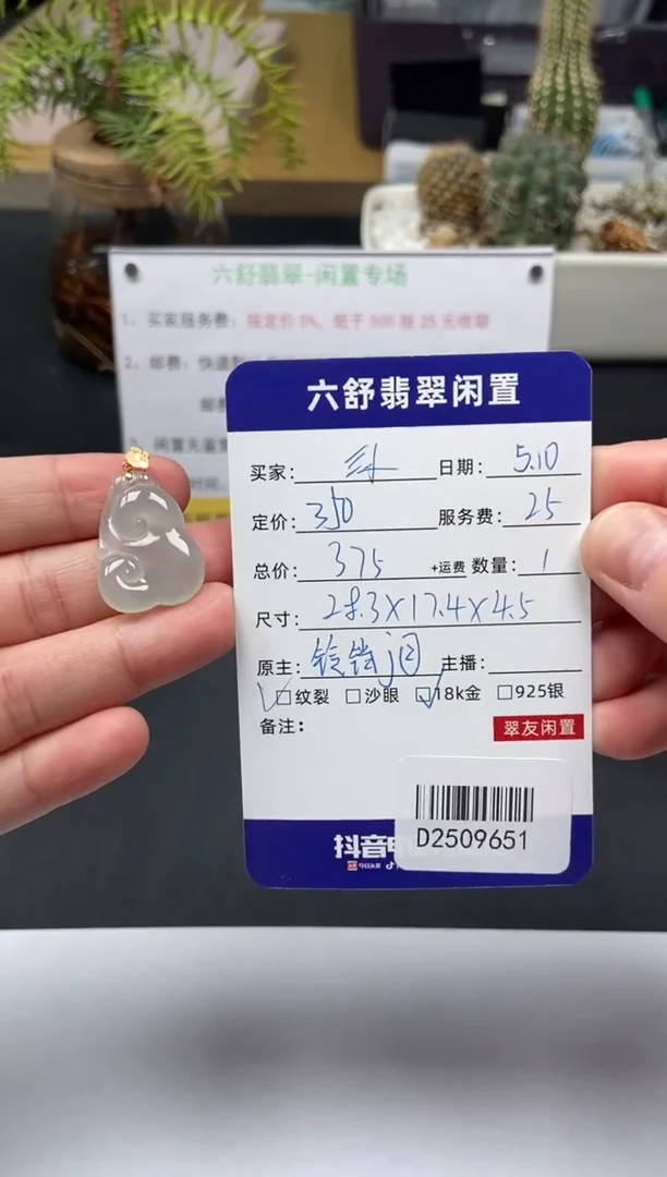 翡翠18K金镶嵌颈饰D2509651