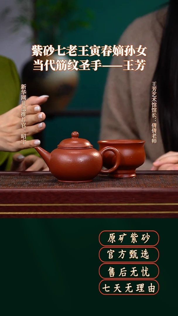 茶壶紫砂9送主人杯