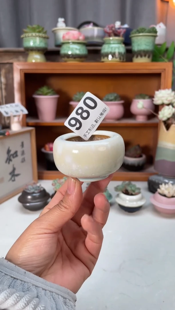 瓷片980小芳直播编号