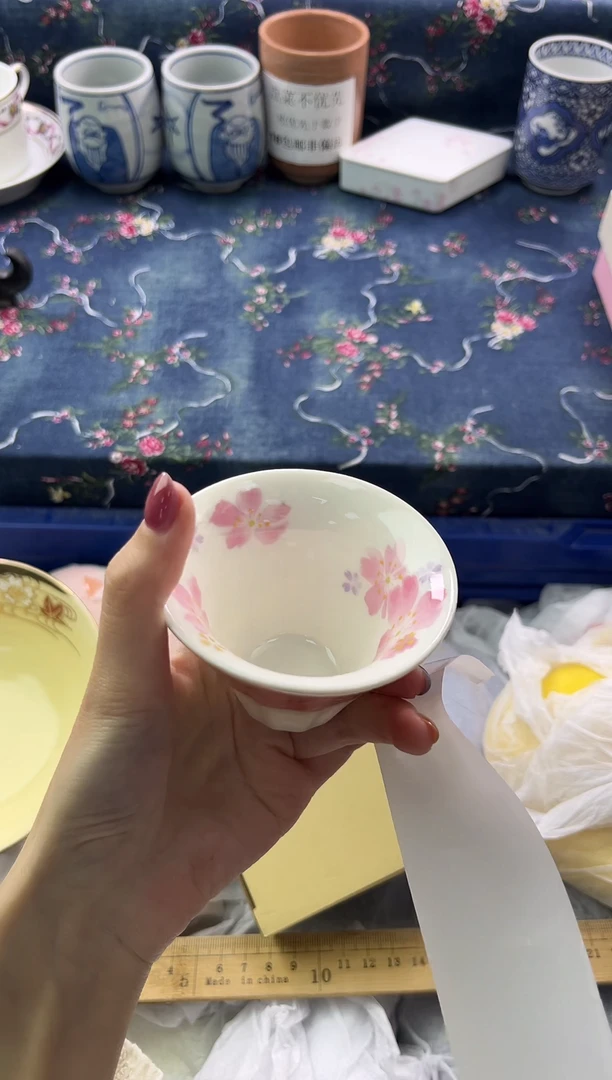 瓷片          E556