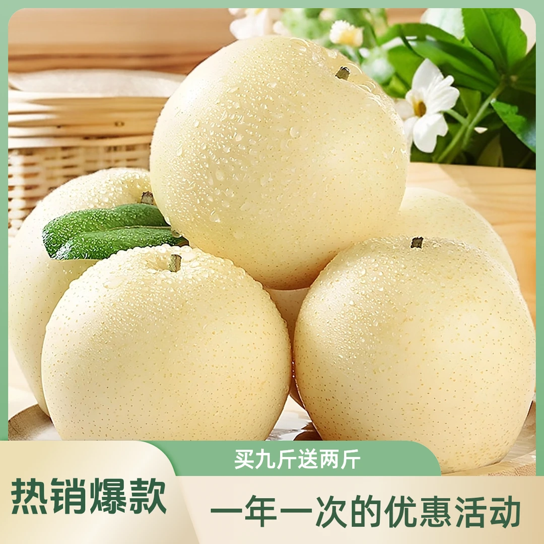 【产地直发】河北皇冠梨薄皮 爆汁