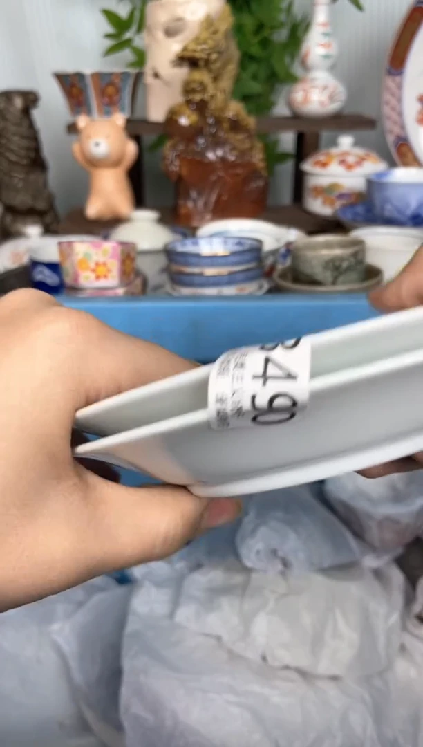 【闪购商品】瓷片空间空间空间计划490