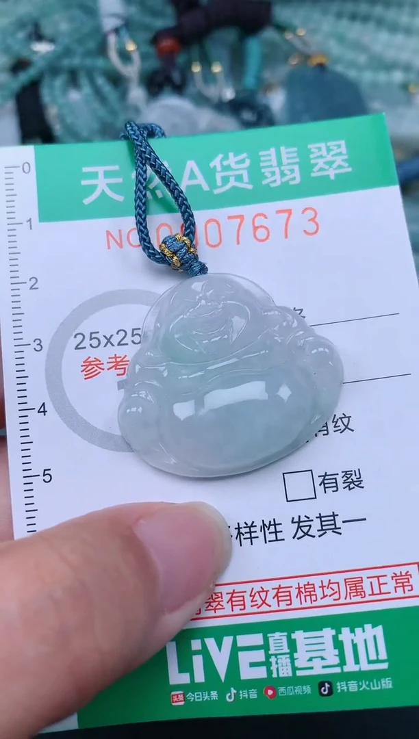 翡翠未镶嵌颈饰.0007673