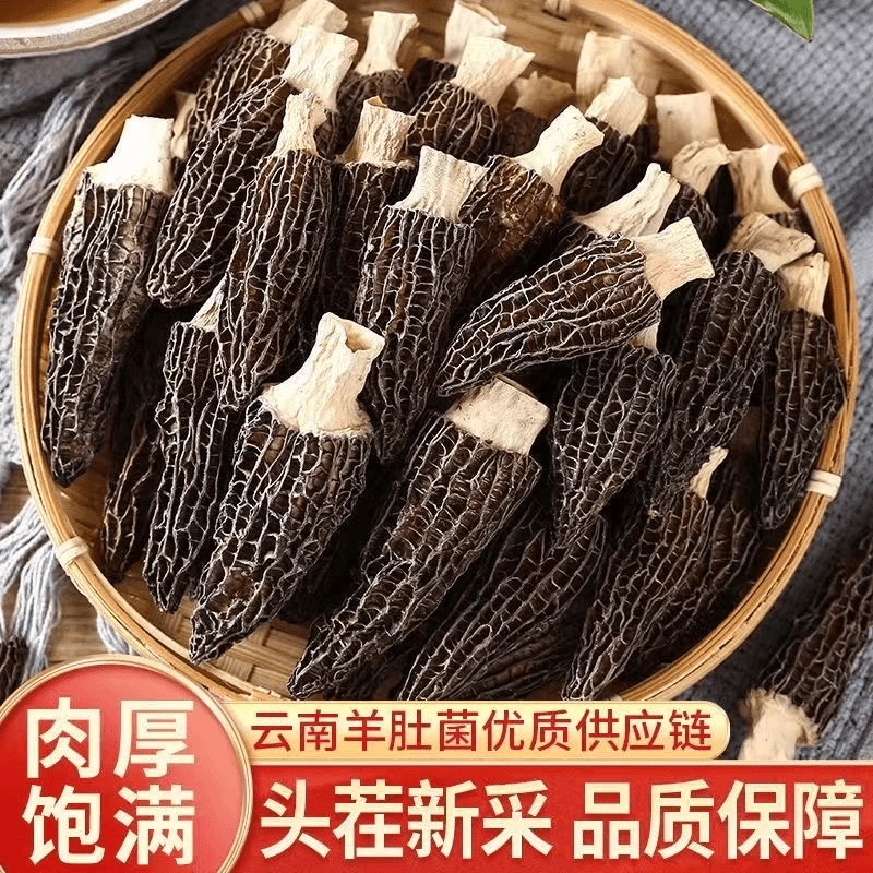 新货天然羊肚菌有大有小干货煲汤干货食材100g