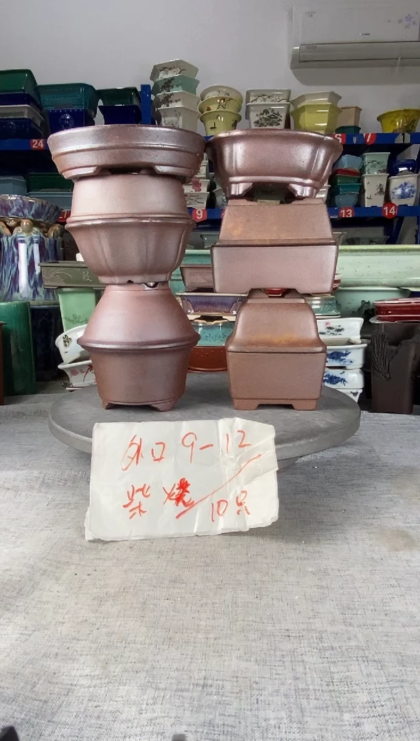 122303十只柴烧开播福利