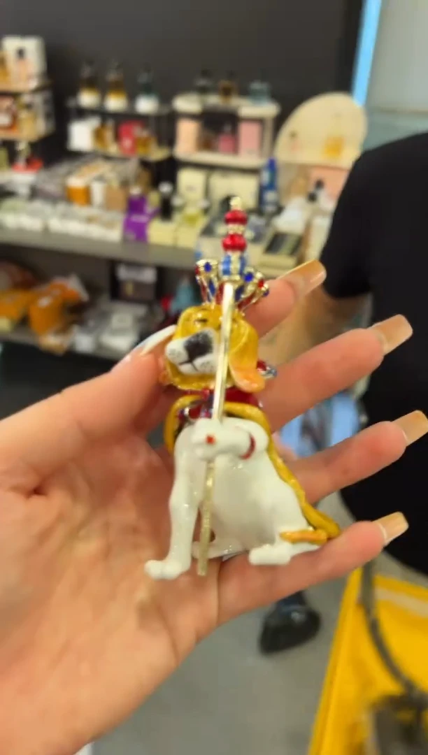 瓷片-Z0123--------