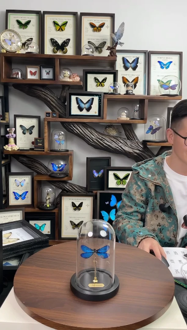 暗溪色蟌 小号玻璃球款