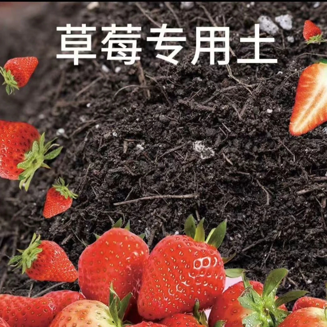 草莓适用土通用营养土椰糠泥炭土珍珠岩