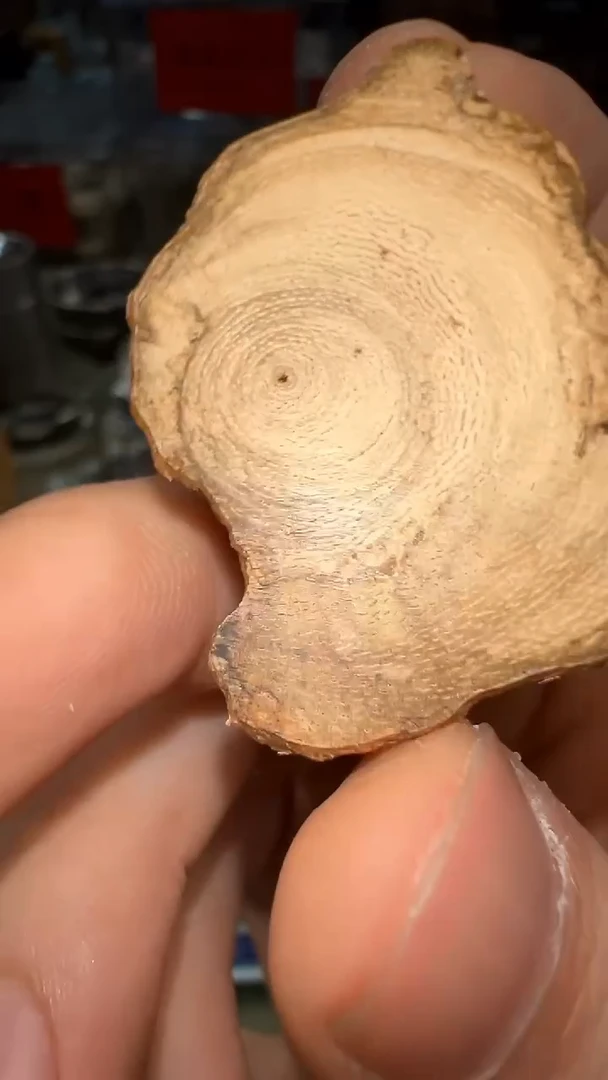 4g加里曼丹原料