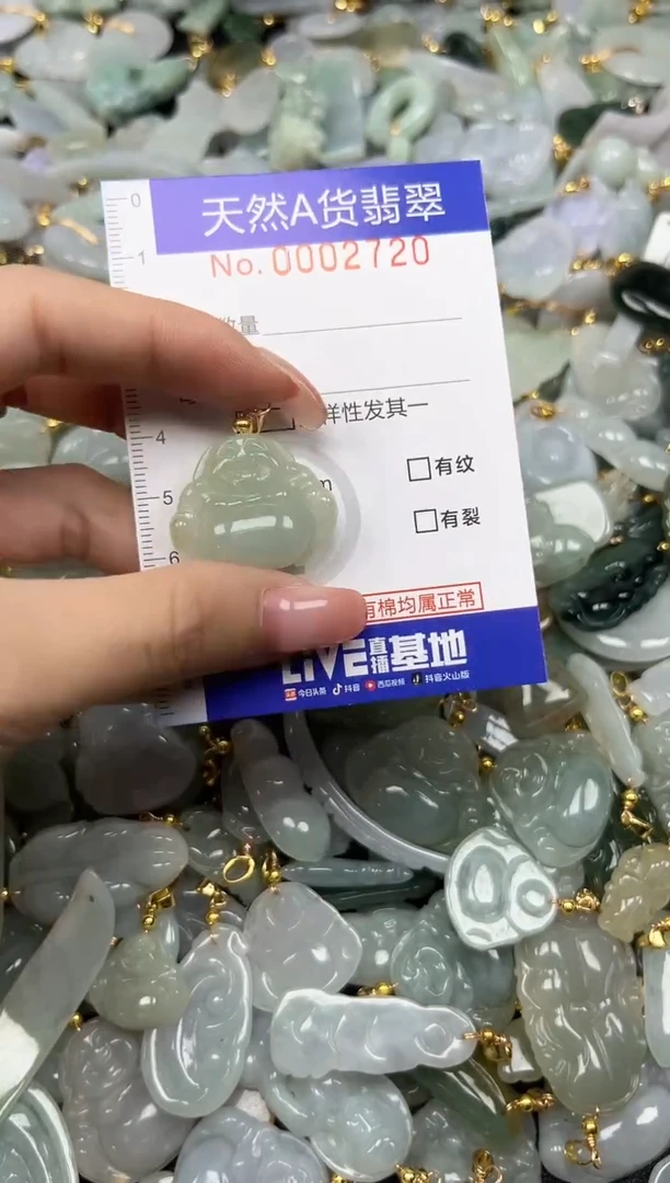 翡翠未镶嵌颈饰时尚百搭爆款链接天然翡翠A货