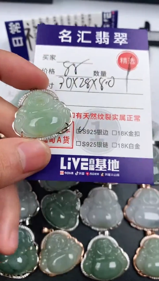 翡翠银S925镶嵌颈饰·