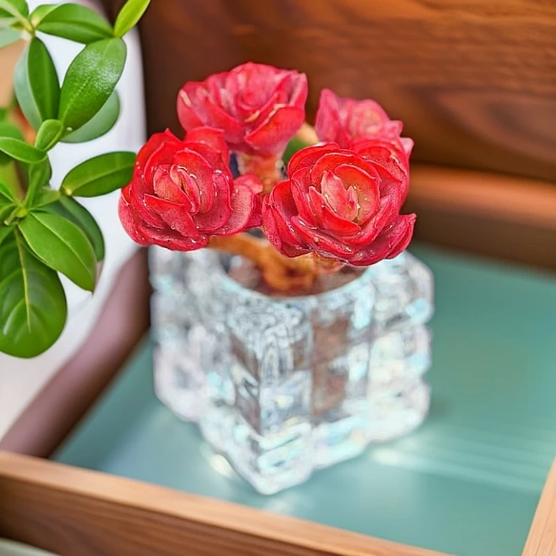 无土多肉秀妍1颗(含四方水晶盆