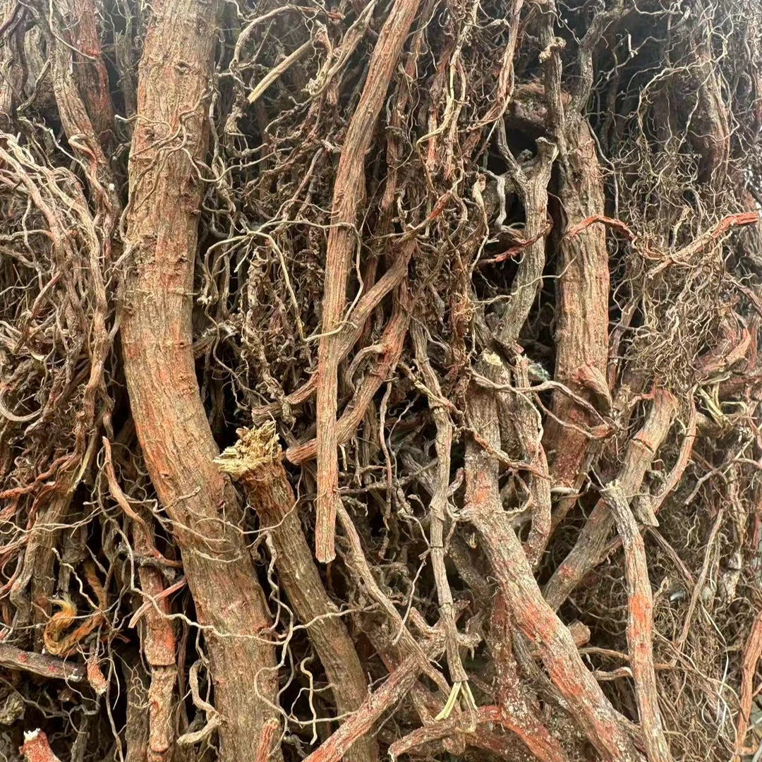 2025【郑书记助农】血参根野生丹 参纯天然农户自挖无硫