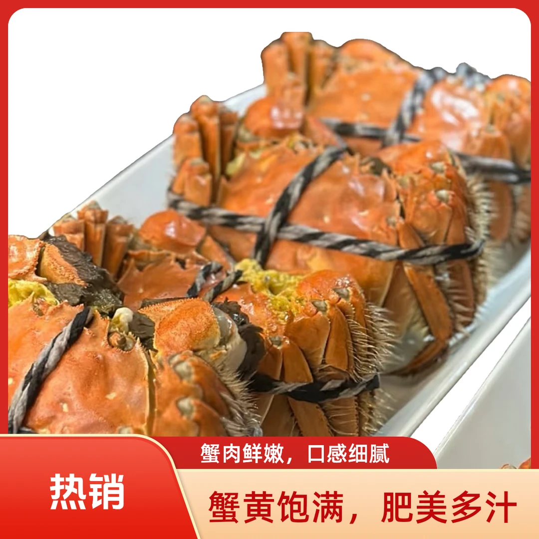 【精品大闸蟹】单只母蟹1.3-3.7两各种规格泡沫箱加冰送蟹醋10只装