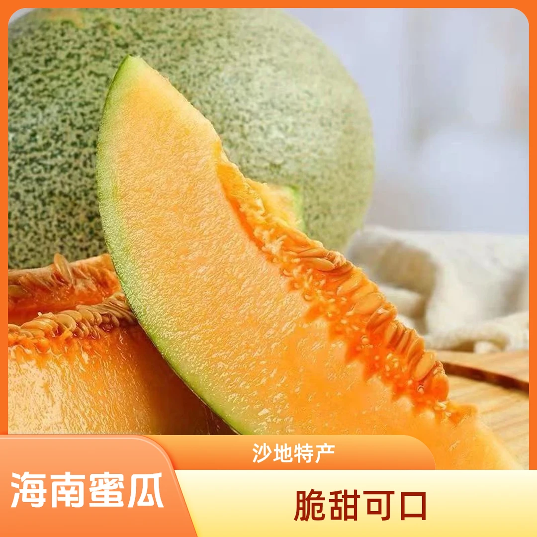 海南海沙蜜瓜哈密瓜沙地蜜瓜脆甜蜜瓜
