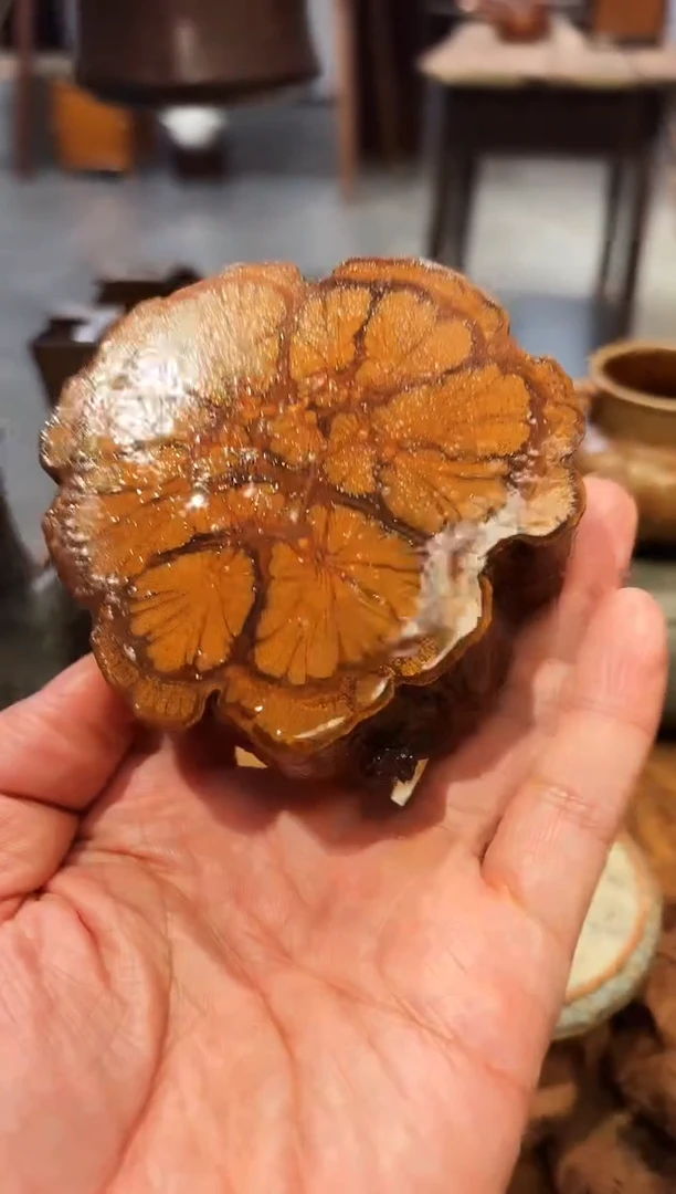 【闪购商品】茶道配件茶道配件2.8