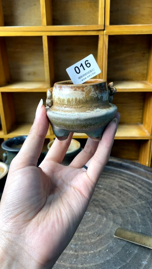 016【多肉花盆多肉盆】