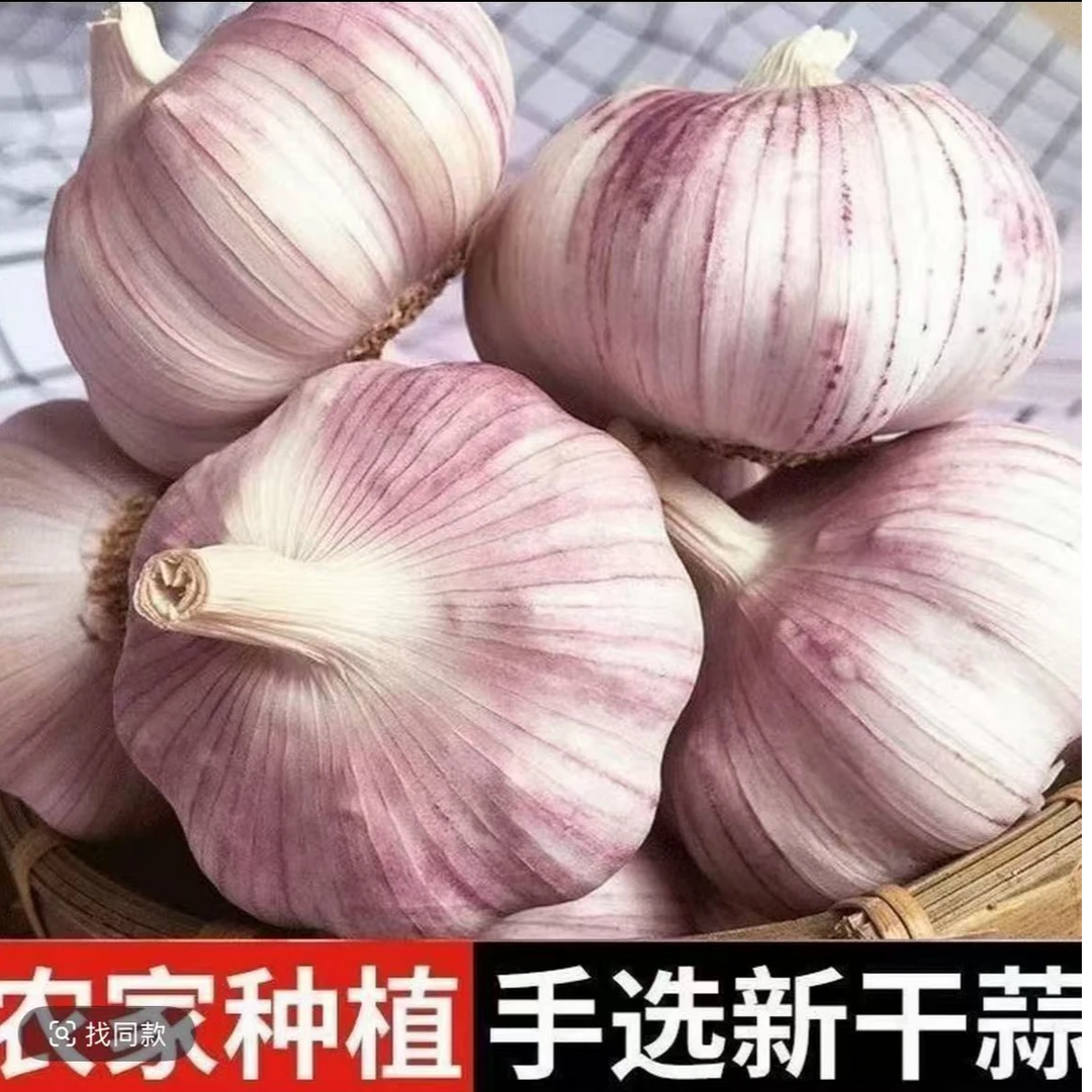 正宗大蒜新鲜干蒜紫白皮大蒜农产品生鲜特产